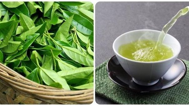 Điều gì xảy ra nếu bạn uống nước chè xanh mỗi ngày?