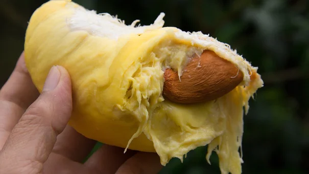 4 loại quả ngon nhưng ăn vào vô tình khiến đường huyết “mất kiểm soát”: Người bị tiểu đường nên tránh càng xa càng tốt