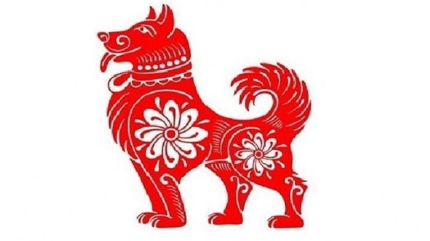 Tử vi tuổi Tuất năm 2024 theo các phương diện