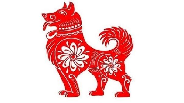Tử vi tuổi Tuất năm 2024 theo các phương diện