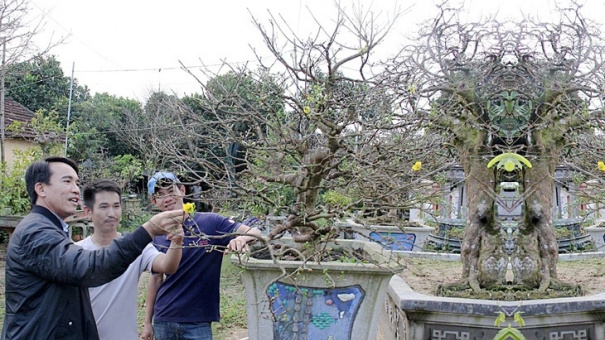 Mai thân, mai tình đắt đỏ như đất mặt phố, càng lâu càng lên giá