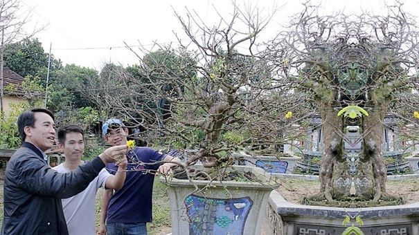 Mai thân, mai tình đắt đỏ như đất mặt phố, càng lâu càng lên giá