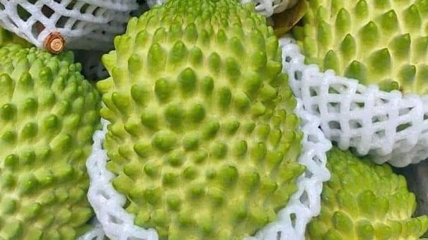 Na sầu riêng 'khổng lồ' rớt giá một nửa