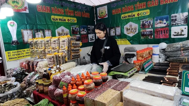 Khai mạc Hội chợ Xuân Giáp Thìn - Nghìn quà Tết