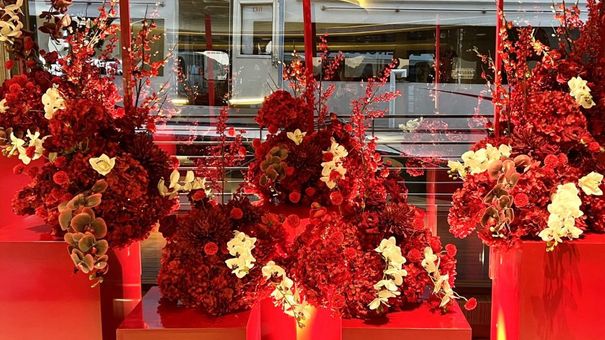 Hải trình Tết đặc biệt trên vịnh Hạ Long với siêu du thuyền Essence Grand Cruise