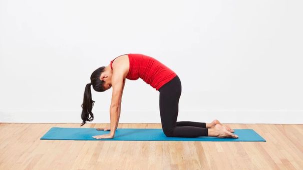 7 bài tập yoga giúp dân văn phòng thư giãn và điều chỉnh tư thế