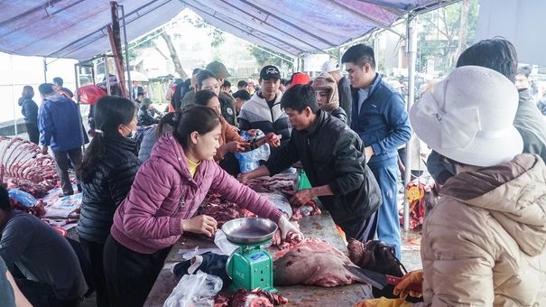 Nhiều người ùn ùn đi mua thịt trâu chọi giá tiền triệu ăn lấy may