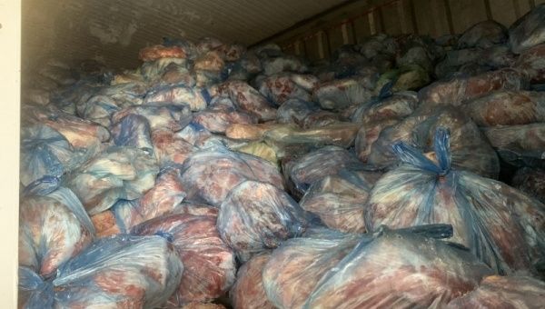 Hơn 40 Tấn Thịt Lợn Nhiễm Bệnh Tai Xanh, Tả Lợi Tại Hà Nội