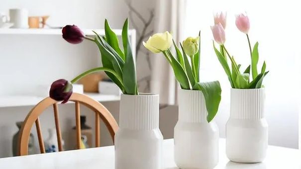 Ở tuổi 38, tôi thay đổi quan điểm chi tiêu và nhận về cuộc sống thật tuyệt, dù chỉ có 1 mình!