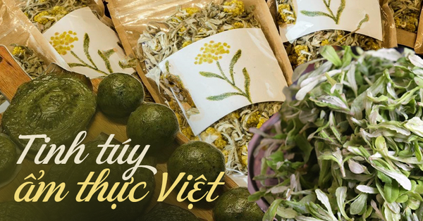 Phật nhĩ thảo - loại cây mọc hoang bờ ruộng, tưởng xa lạ nhưng là 