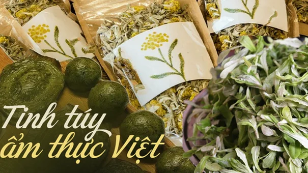Phật nhĩ thảo - loại cây mọc hoang bờ ruộng, tưởng xa lạ nhưng là 