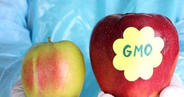 Thực phẩm biến đổi gen có thực sự đáng sợ?