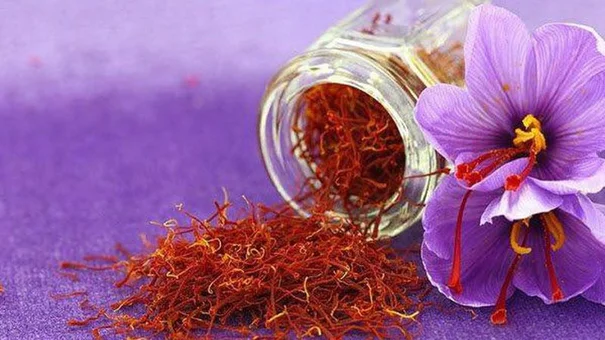 Lưu ý khi dung nhụy hoa nghệ tây để giảm cân