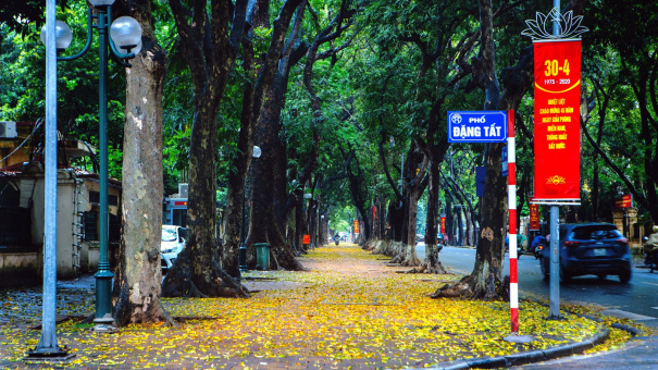 Hà Nội Tháng 3 Có Những Góc Chụp Cực Lãng Mạng