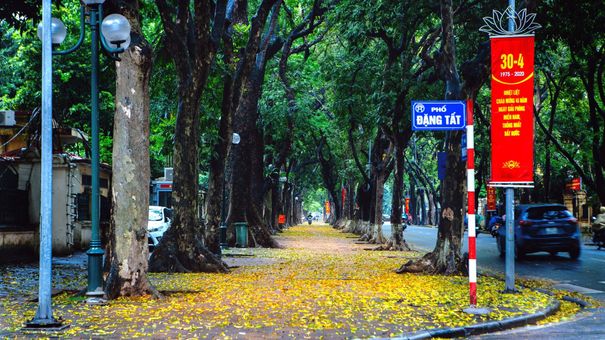 Hà Nội Tháng 3 Có Những Góc Chụp Cực Lãng Mạng
