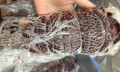 Đuôi tôm hùm Australia giá rẻ bán đầy chợ mạng