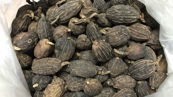 1 loại quả cay ngọt nhưng “giàu sắt hơn thịt bò”, bổ ngang nhân sâm: Hạ đường huyết, bổ máu, “dưỡng gan” và xương hiệu quả lại rất sẵn ở Việt Nam