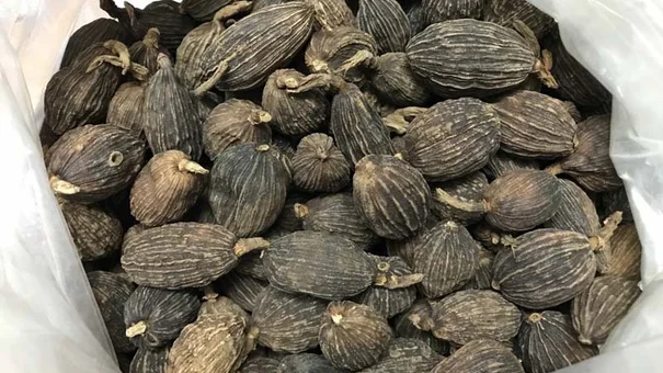 1 loại quả cay ngọt nhưng “giàu sắt hơn thịt bò”, bổ ngang nhân sâm: Hạ đường huyết, bổ máu, “dưỡng gan” và xương hiệu quả lại rất sẵn ở Việt Nam