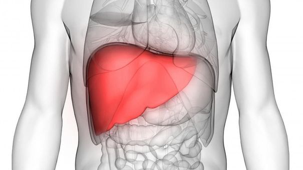 Đây Có Thể Là Dấu Hiệu Bạn Mắc Bệnh Gan Nghiêm Trọng