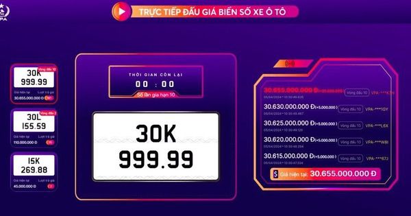 Biển số 30K-999.99 được đưa ra đấu giá lại và chốt ở mức 30,655 tỉ đồng