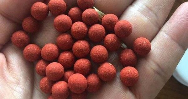 Nguy kịch do uống thuốc nam chứa chì