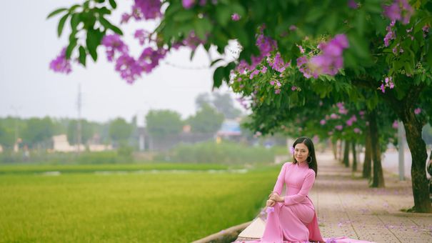 Điểm Check-In Hoa Bằng Lăng View Cánh Đồng Ở Hà Nội