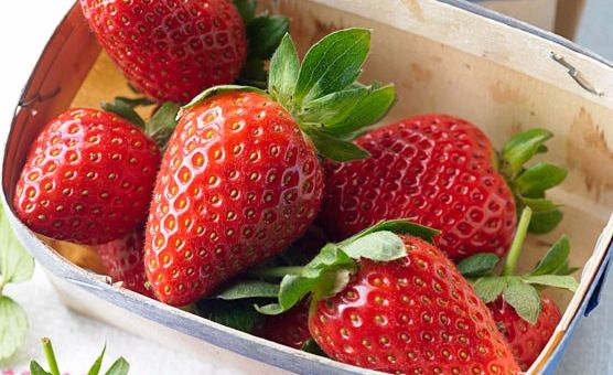 Những Loại Hoa Quả Giúp Tăng Sức Đề Kháng Mùa Hè