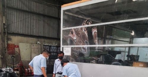 Tiêu hủy gần 8 tấn nội tạng động vật nhập lậu của Công ty TNHH Thực phẩm T.T.P