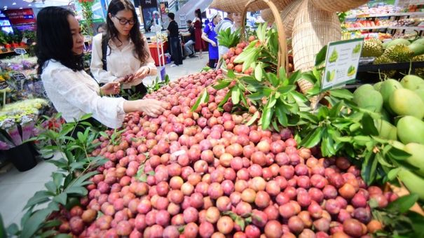 Mận hậu giá rẻ đổ bộ thành phố Hồ Chí Minh
