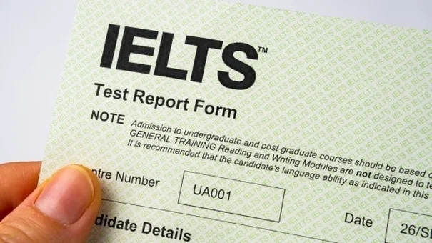 IDP cấp sai hơn 56.000 chứng chỉ IELTS ở Việt Nam