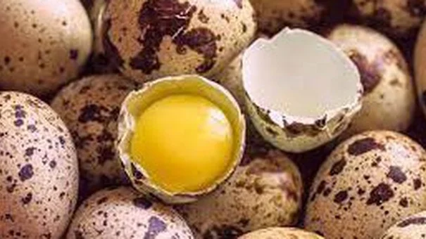 9 lợi ích sức khỏe bất ngờ của trứng cút