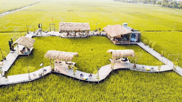 Người Hà Nội rủ nhau đi quán cà phê ruộng