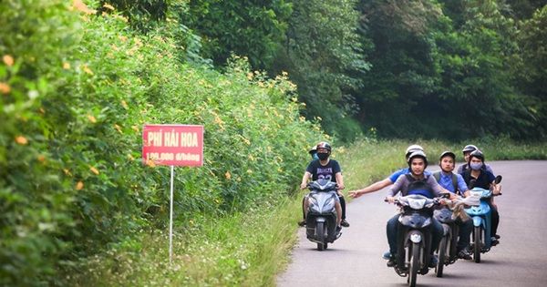 Huyện có diện tích lớn nhất Hà Nội sau khi sắp xếp đơn vị hành chính là huyện nào?