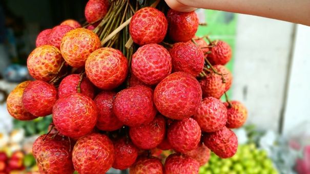 Giá vải thiều cuối vụ tăng vọt