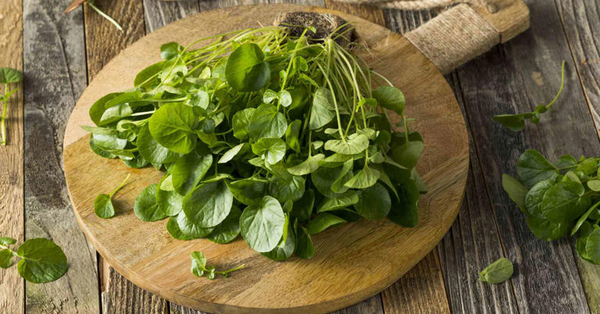 Việt Nam có loại rau chống ung thư tốt nhất thế giới, tốt cho sức khỏe tim mạch và xương khớp