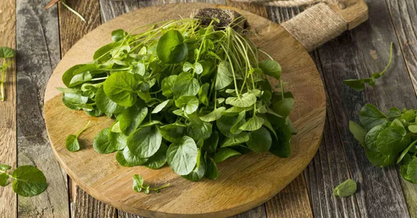 Việt Nam có loại rau chống ung thư tốt nhất thế giới, tốt cho sức khỏe tim mạch và xương khớp