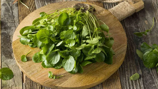 Việt Nam có loại rau chống ung thư tốt nhất thế giới, tốt cho sức khỏe tim mạch và xương khớp