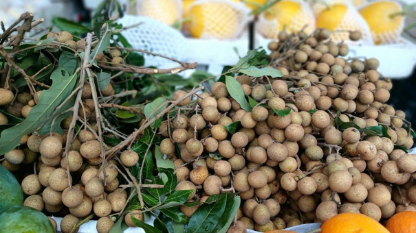 Xuất khẩu nhãn tăng vọt 4 tháng đầu năm