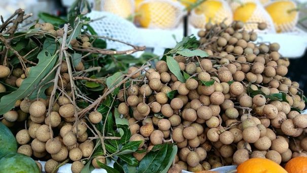 Xuất khẩu nhãn tăng vọt 4 tháng đầu năm