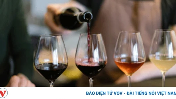 Làm thế nào để biết rượu đã hết hạn sử dụng?
