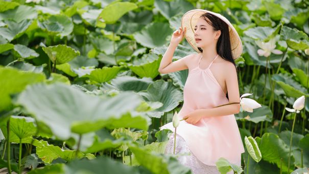 Lễ Hội Sen Tây Hồ Ngày 12 -16/7 Có Gì Thú Vị?