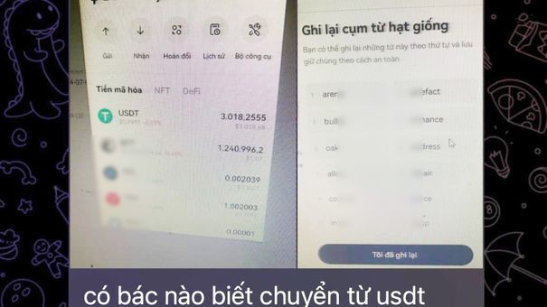 Chiêu 'lộ' mật khẩu ví để dụ đăng nhập, lừa tiền số