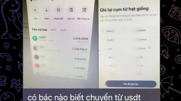 Chiêu 'lộ' mật khẩu ví để dụ đăng nhập, lừa tiền số