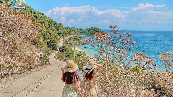 Tận Hưởng Lễ Hội Ngô Đồng Đỏ Tại Cù Lao Chàm Tháng 7 Này
