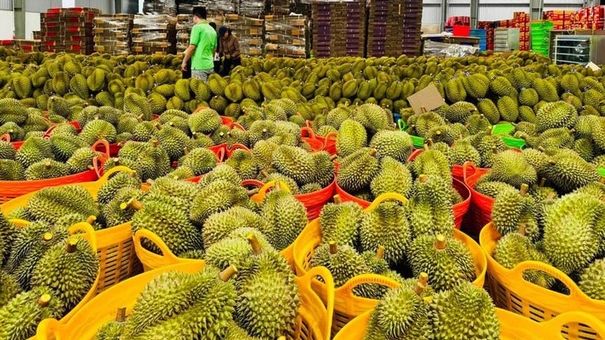 Thái Lan bất ngờ tăng chi tiền lớn mua rau quả Việt Nam