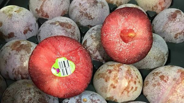 Mận đỏ Mỹ giá nửa triệu đồng một kg