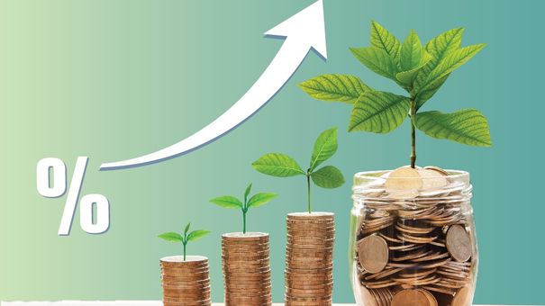Mẹ đảm chia sẻ bí quyết thu nhập 30 triệu/tháng, tiết kiệm được 15 triệu/tháng