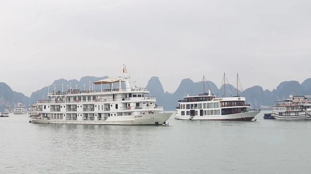 Đề xuất thu phí đến 600.000 đồng/khách tham quan vịnh Hạ Long