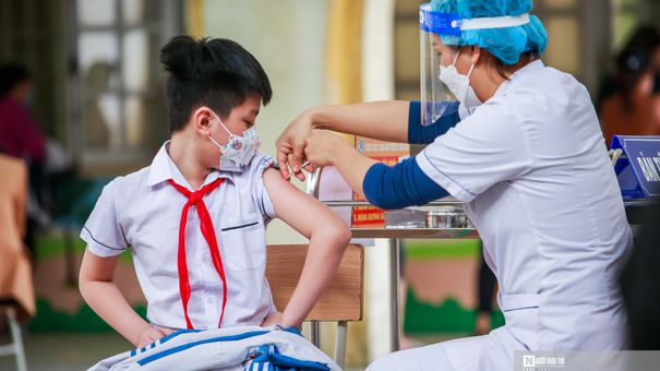 Bộ Y tế Yêu Cầu Phát Hiện Sớm Bệnh Bạch Hầu, Xử Lý Ổ Dịch