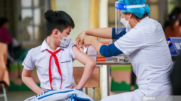 Bộ Y tế Yêu Cầu Phát Hiện Sớm Bệnh Bạch Hầu, Xử Lý Ổ Dịch